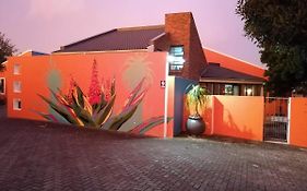 Studio 7 On Risa